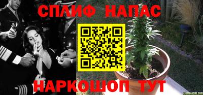 крисы Заволжье
