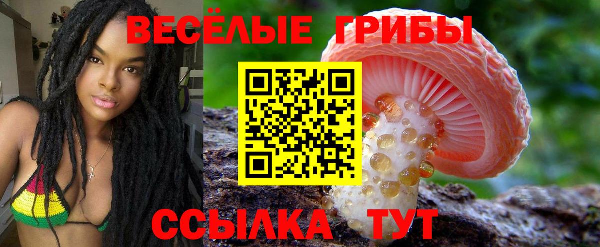 Галлюциногенные грибы мицелий  Псилоцибиновые грибы GOLDEN TEACHER  Вход с VPN  где найти   Кострома 
